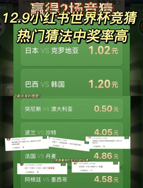 世界杯竞猜怎么玩？实测对比带你了解（世界杯数据）